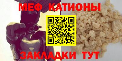 прущие грибы Обнинск