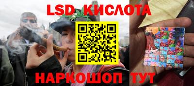 прущие грибы Обнинск