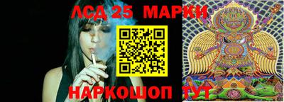 прущие грибы Обнинск