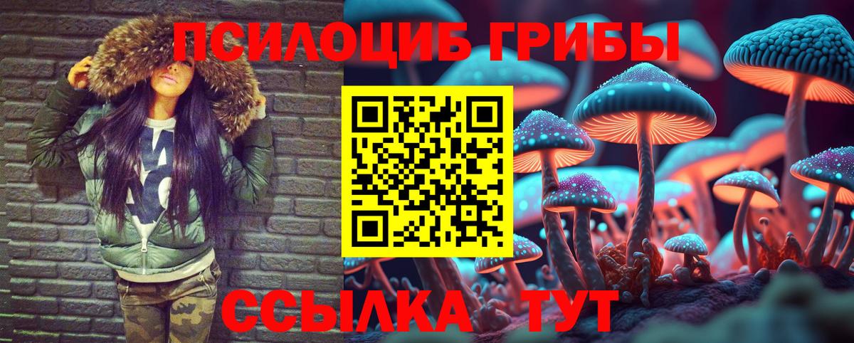 где купить наркотик  Галлюциногенные грибы MAGIC MUSHROOMS  Вход с VPN  Советская Гавань 